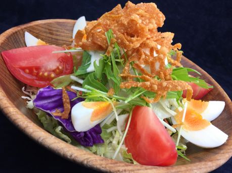 定番とんぼサラダ /長野県諏訪市の黒毛和牛もつ鍋と牛タンの居酒屋/宴屋とんぼ 